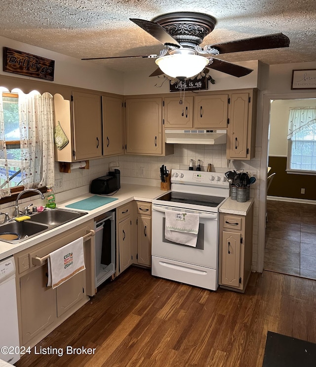 kitchen with tasteful backsplash, a wealth of natural light, white appliances, dark wood-type flooring, and sink