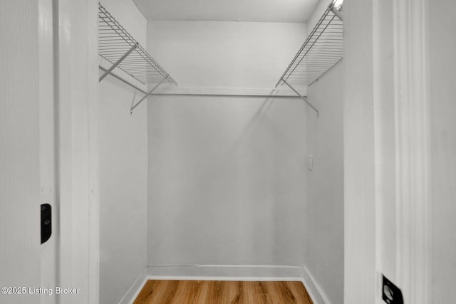 walk in closet featuring wood-type flooring