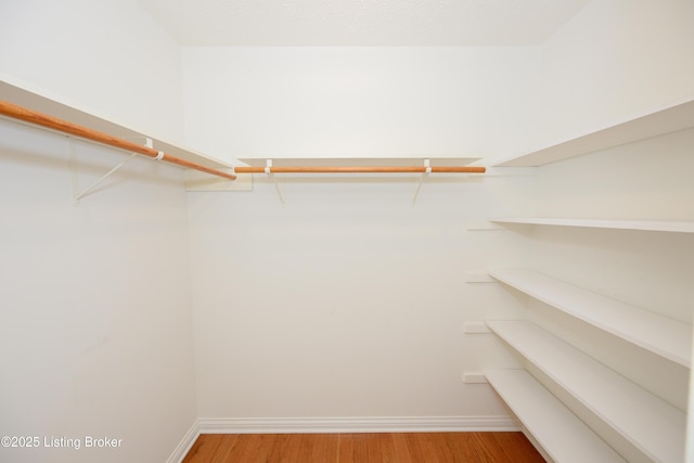 spacious closet with wood-type flooring