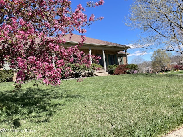 view of front of home featuring a front lawn