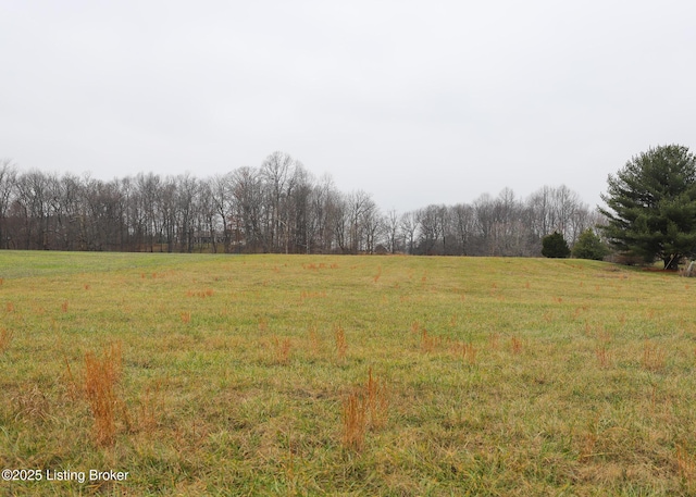 LOT1D Mudsplash Rd, Glendale KY, 42740 land for sale