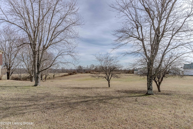 view of yard with a rural view