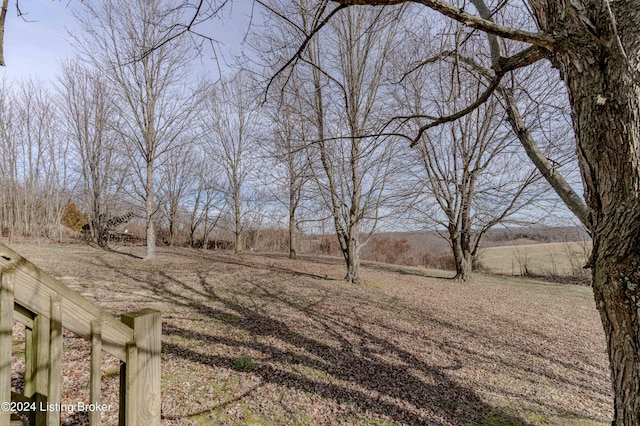 view of yard with a rural view