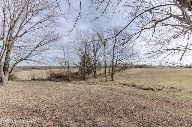 view of yard with a rural view