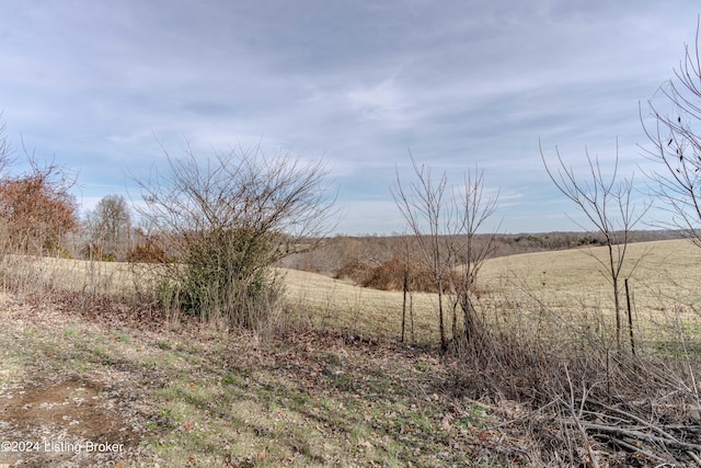 view of yard featuring a rural view