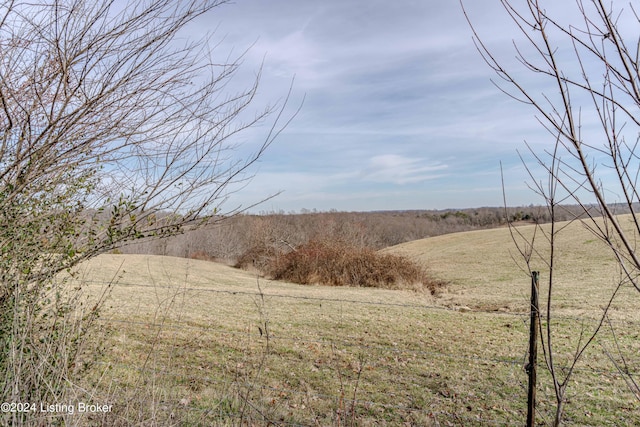 view of yard with a rural view