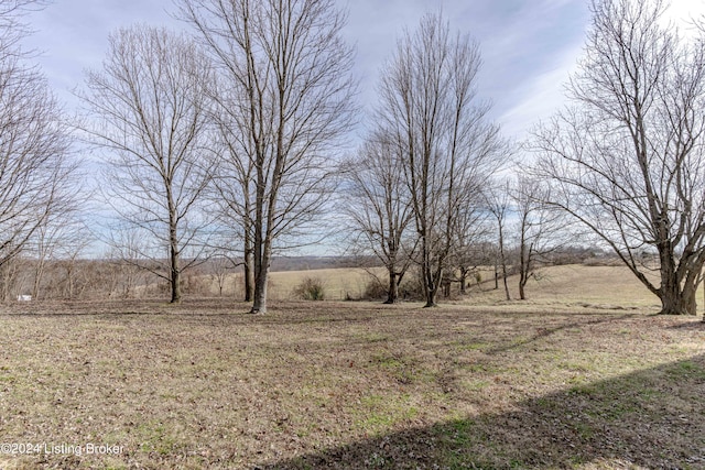 view of yard with a rural view