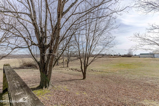 view of yard with a rural view