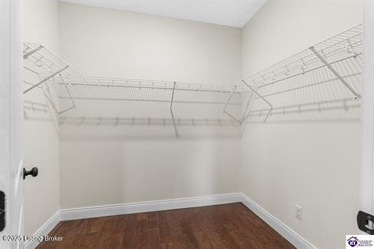 spacious closet with wood-type flooring