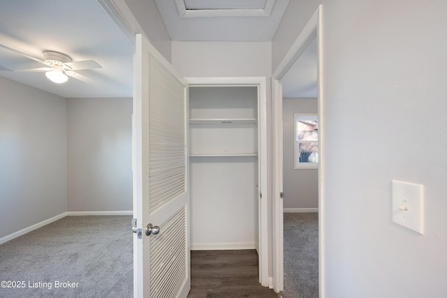 view of closet