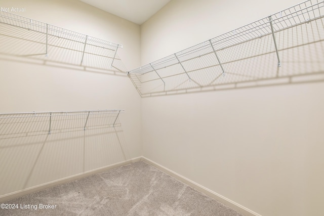 spacious closet with carpet flooring