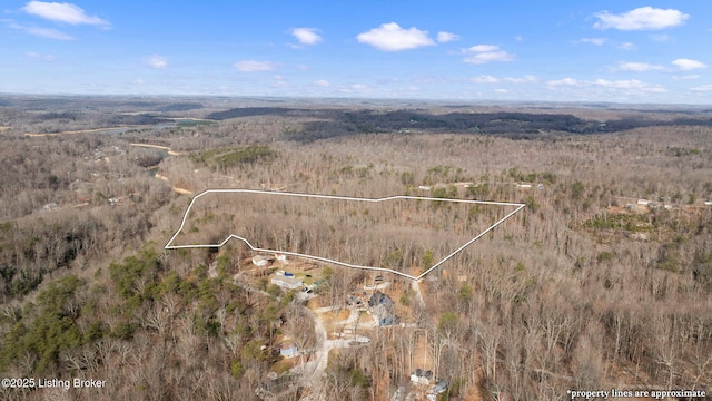 3 Hickory Ln, Mammoth Cave KY, 42259 land for sale