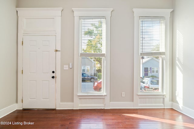 foyer featuring wood-type flooring