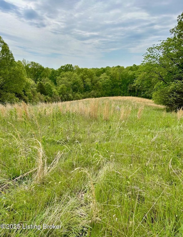 Listing photo 3 for 2470 Greens Chapel Rd Lot A, Lot A, Bloomfield KY 40008