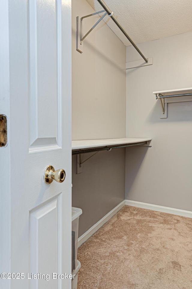 walk in closet featuring light carpet