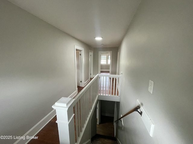 stairs with hardwood / wood-style floors