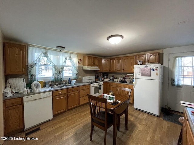 kitchen with light hardwood / wood-style floors, white appliances, and sink