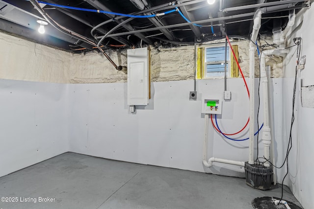 basement featuring electric panel