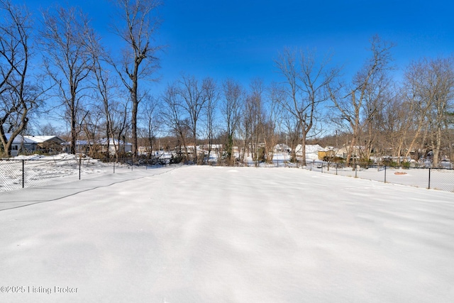 view of yard covered in snow