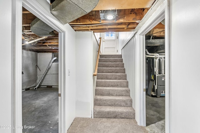 staircase featuring carpet floors