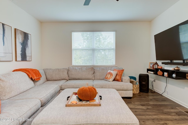 living room with ceiling fan and dark hardwood / wood-style flooring