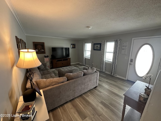 living room featuring wood-type flooring, a textured ceiling, and crown molding