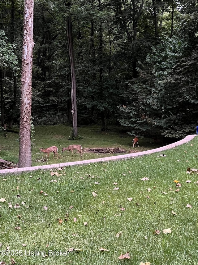 view of yard with a wooded view