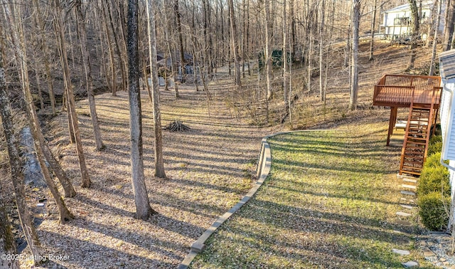 view of yard featuring a wooden deck and stairs