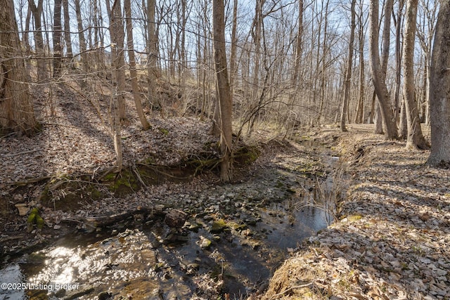 view of landscape