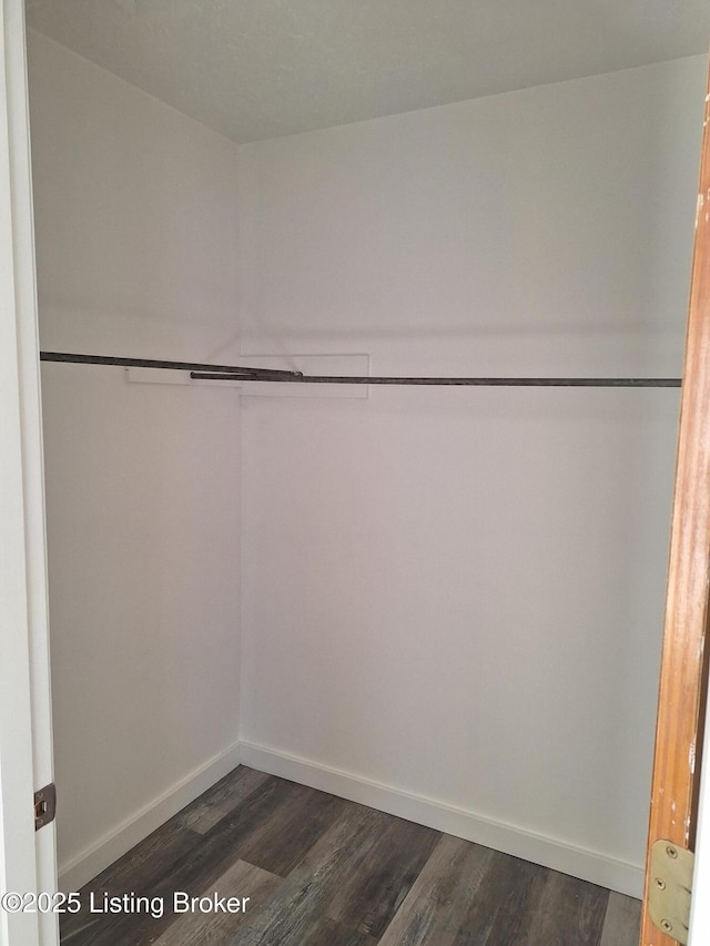 walk in closet with dark wood-type flooring