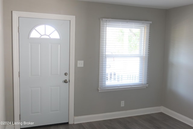 entrance foyer featuring dark hardwood / wood-style flooring