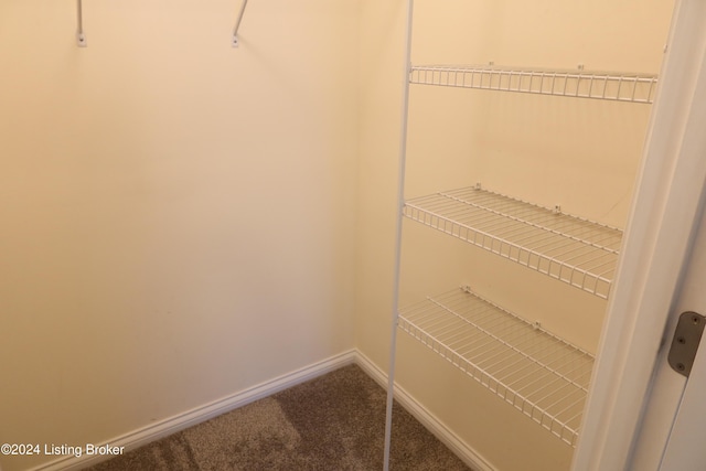 walk in closet with carpet flooring