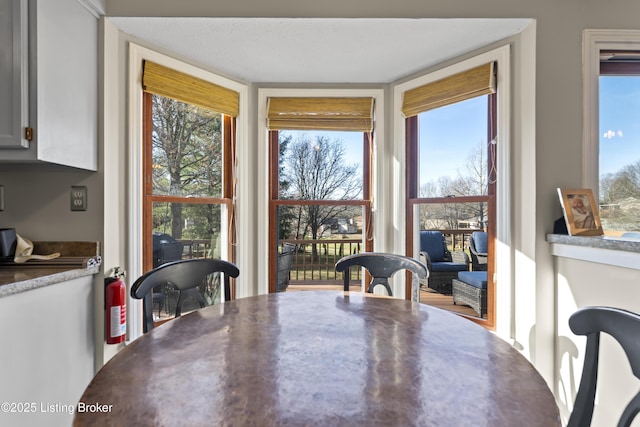 dining area featuring a wealth of natural light