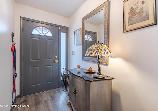 foyer featuring dark wood-type flooring