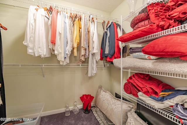 walk in closet with carpet