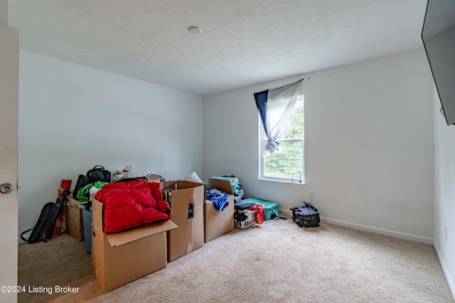 playroom with light colored carpet and a textured ceiling