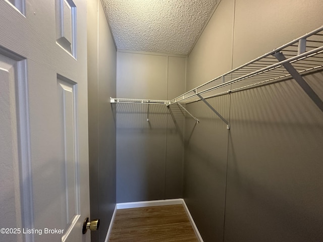 walk in closet with wood finished floors