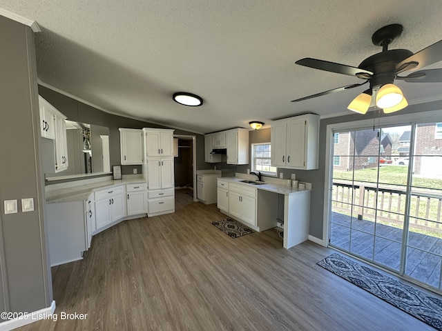 kitchen featuring crown molding, lofted ceiling, wood finished floors, a textured ceiling, and a sink