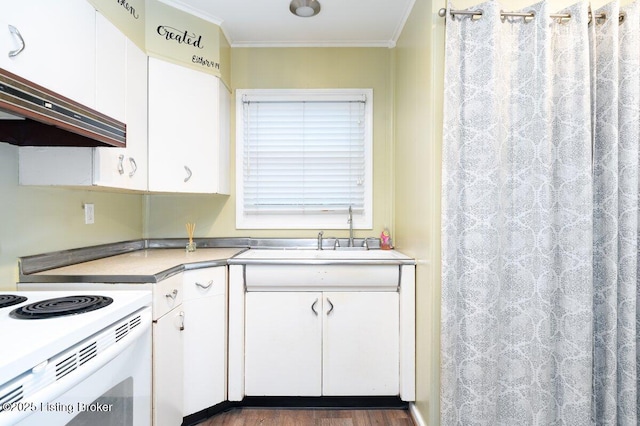 kitchen with sink, extractor fan, white cabinetry, and crown molding