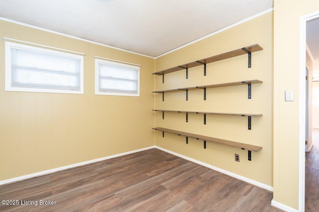 spare room featuring ornamental molding and wood-type flooring