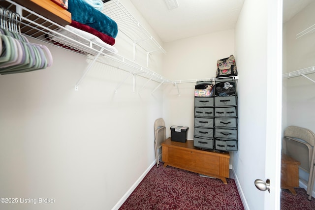 view of spacious closet