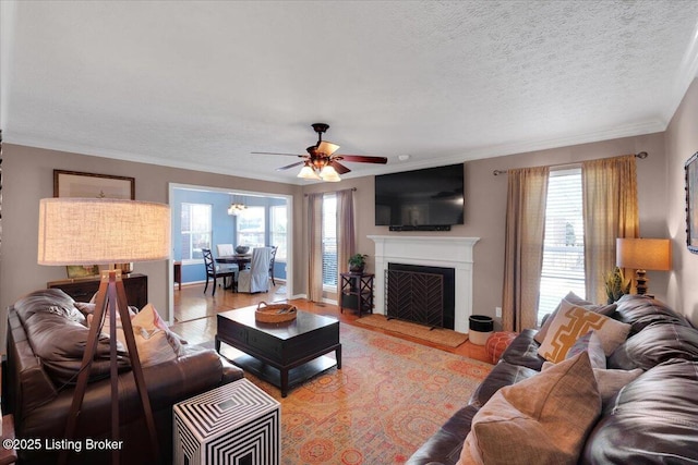 living room with hardwood / wood-style flooring, ornamental molding, a healthy amount of sunlight, and a textured ceiling