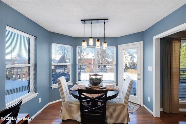 dining space with dark hardwood / wood-style flooring, a textured ceiling, and a healthy amount of sunlight