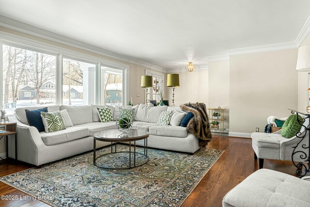 living room featuring crown molding and dark hardwood / wood-style flooring