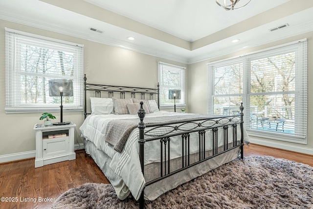 bedroom with multiple windows, dark wood-type flooring, and a raised ceiling