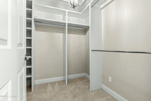 spacious closet with light colored carpet