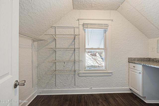 walk in closet featuring vaulted ceiling and dark hardwood / wood-style flooring