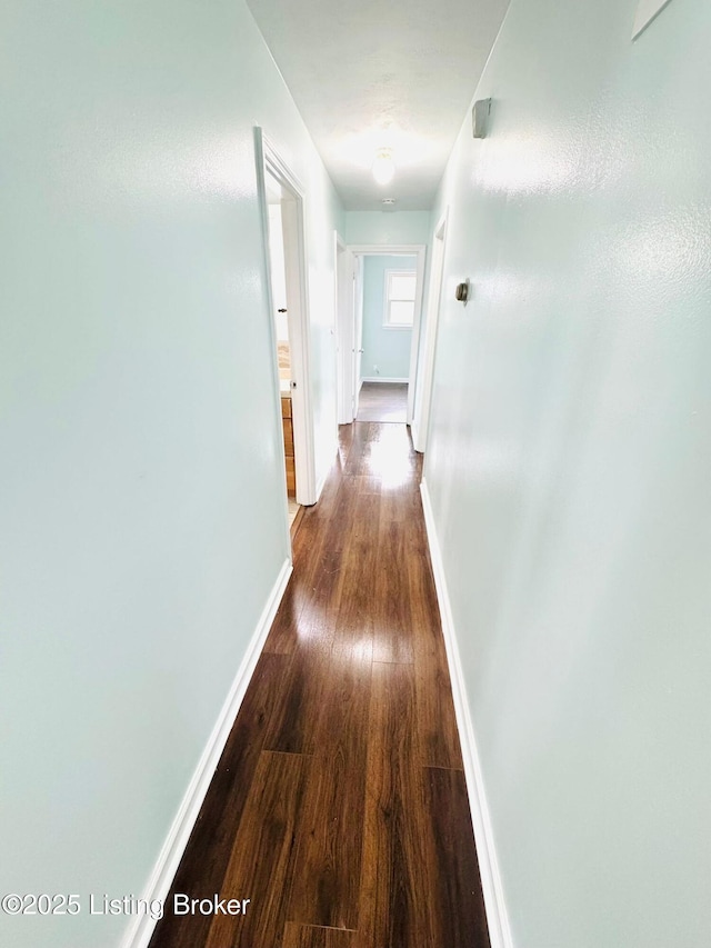 corridor featuring dark hardwood / wood-style floors