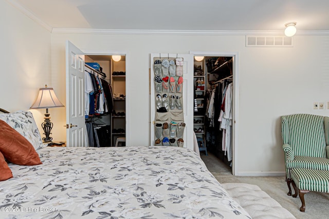 bedroom with a spacious closet, a closet, crown molding, and carpet flooring