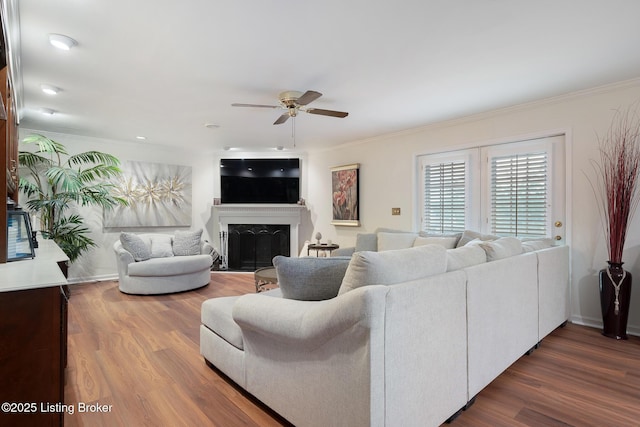 161 Gardiner Lake Rd Unit 161, Louisville, KY 40205 - living area with a ceiling fan, dark wood-style flooring, a fireplace, crown molding, and baseboards